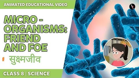 Microorganisms Friend and Foe|सूक्ष्मजीव मित्र एवं सत्रु|NCERT Class 8 Chapter2Hindi Animation Video