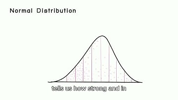 Correlation Explained | How to Measure Relationships Between Variables