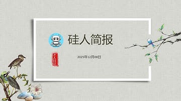 硅人简报20251208：美的推出机器哪吒单头六臂机器人；EngineAI CEO为辟谣亲身演示T800机器人抗冲击能力；全球机器人军备竞赛开启；XELA推出指尖触觉传感器 #ai人日记 #硅人简报