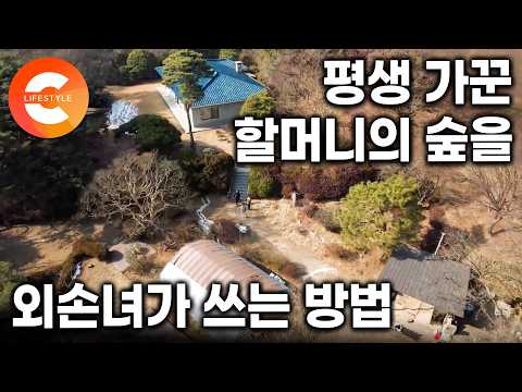 할머니는 떠났지만 나는 이 숲에 남았다｜어른이된 손녀가 50년 숲을 이어 사는 방법ㅣ#한국기행