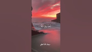 @dawlet-telawat #القاريء الشيخ حلمي الجمل-نوادر روعه #تلاوات