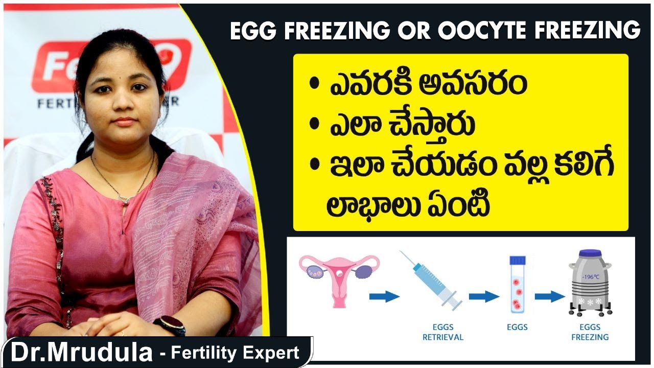 Egg Freezing Procedure In Telugu Oocyte Freezing egg-freezing-procedure-in-telugu-oocyte-freezing