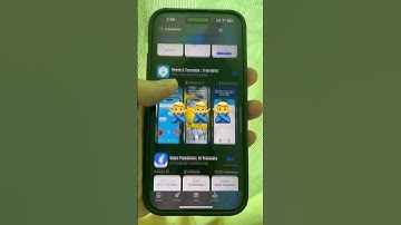 RidzTalk - Pocket Translator App