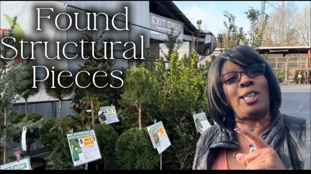 Весенние цветочные покупки и вдохновение для сада | Покупки растений в Growers Outlet 