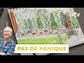 Pas de panique 2ans aprs mur vgtal pour sparer le jardin de celui du voisinsilence a pousse