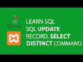 Sql Update with Distinct Command - Tutorial 4 in Hindi/Urdu