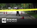 Suburban Chicago homeowner exchanges gunfire with suspects trying to steal car