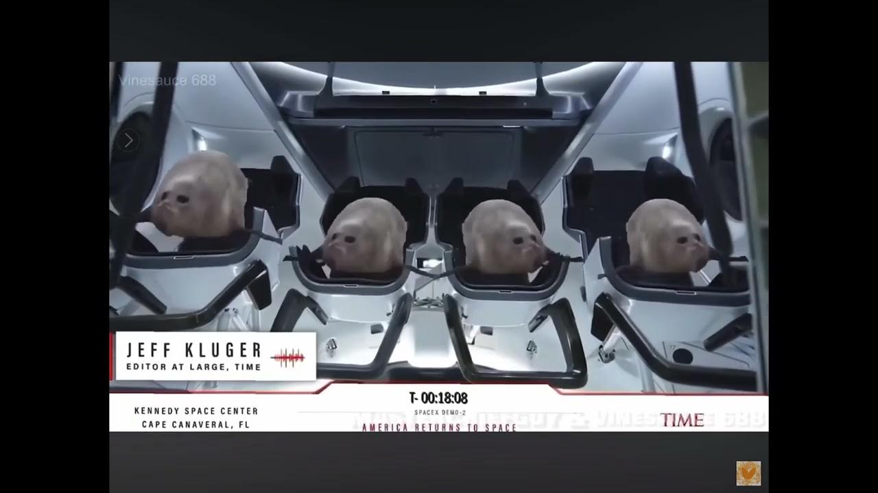 Bouncing seals ultimate 2024 part 1 YouTube