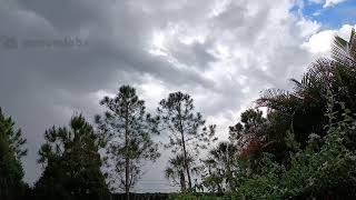 Florida Evening Thunderstorm
