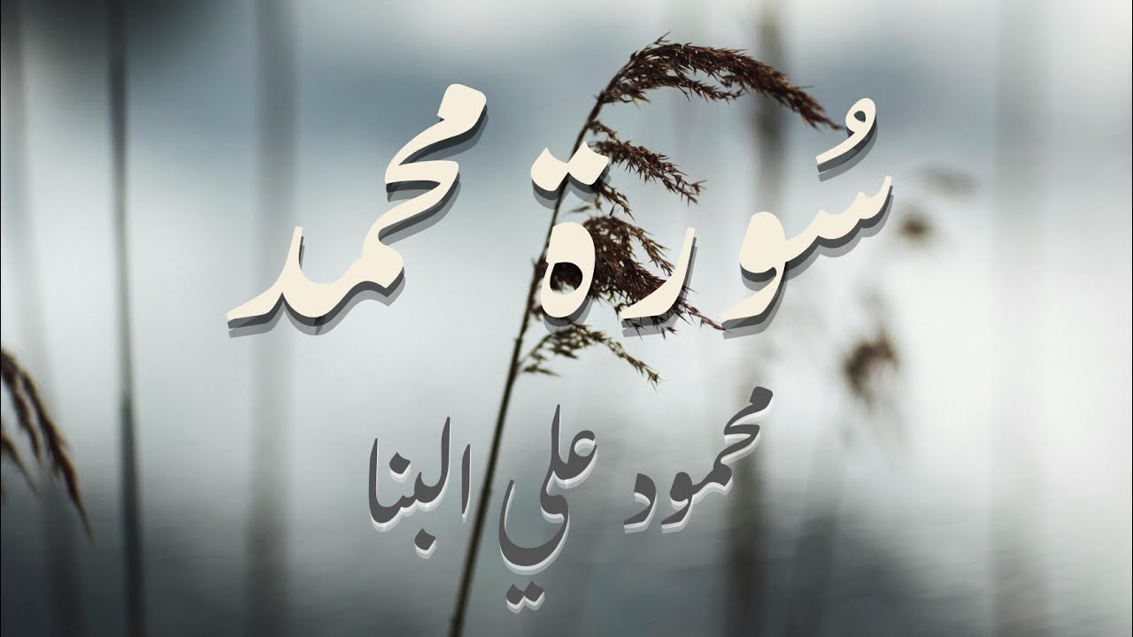 سورة محمد بتلاوة مطمئنة خاشعة للشيخ محمود علي البنا🤍