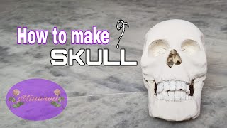 How to make skull 💀  using thermocol //Minerva video//3d modal// biology modal/