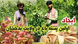 تغییرات باور نکردنی در ولایت بدخشان با ابتکار یک جوان - دیدار میدیا