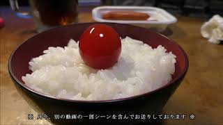 【２～３日で作れる】絶品☆縦に立つ卵黄の醤油漬け