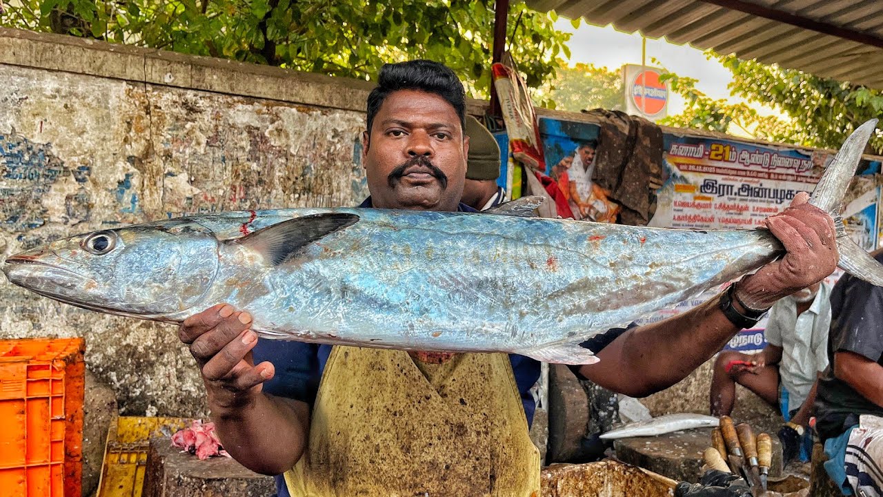 KASIMEDU  🔥 SPEED SELVAM | HUGE KING SEER FISH CUTTING VIDEO | 4K VIDEO | KM FISH CUTTING