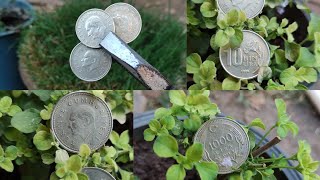 ??????أجمل العملات القديمة الليرة التركية ? The most beautiful old coins, the Turkish lira ? ??????