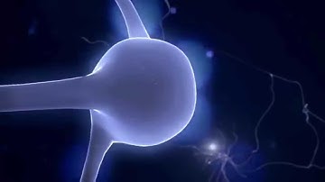 Neural Network Test Clip