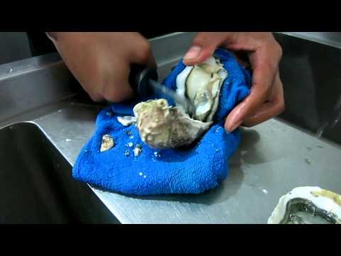 Pattaya Seafood Restaurant Fresh French Oyster Friday