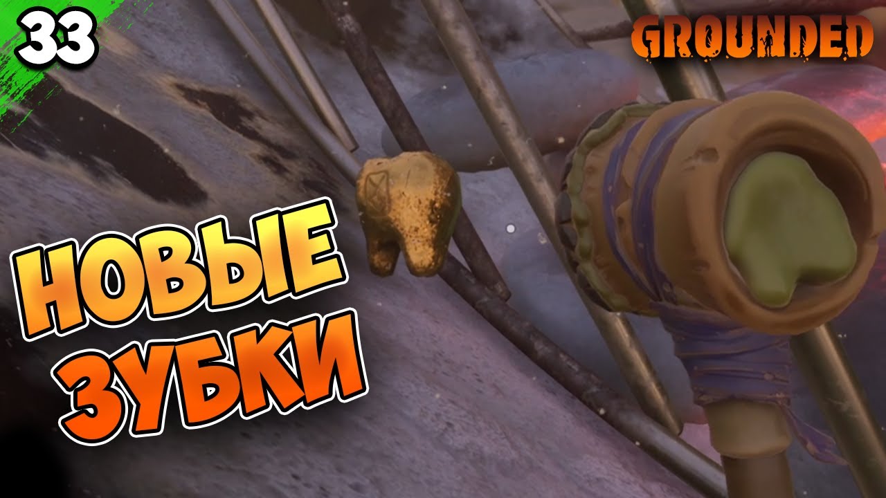 Все зубки в grounded карта