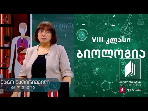 ბიოლოგია, VIII კლასი - გაზთა ცვლა ფილტვებსა და ქსოვილებში #ტელესკოლა