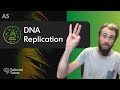 DNA Replication | A-Level Biology Tutorial | AQA