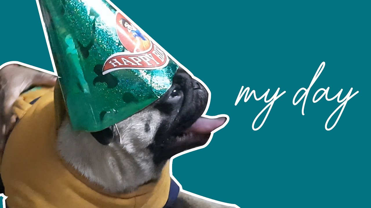 Happy birthday to my darling Peachu (my pet) | Deepti Patel