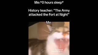 Real #fyp #cat #meme #fortnite
