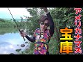 秒速でアメリカナマズが釣れる日本終了の川がヤバかったww【完全版】