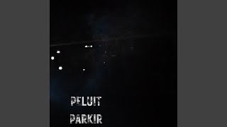 Peluit Parkir