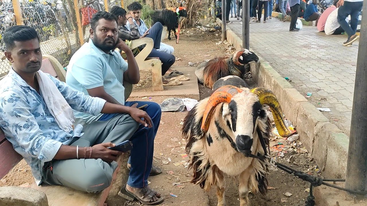 ದಾವಣಗೆರೆ ದುರ್ಗಮ್ಮನ ಕಣ part -4