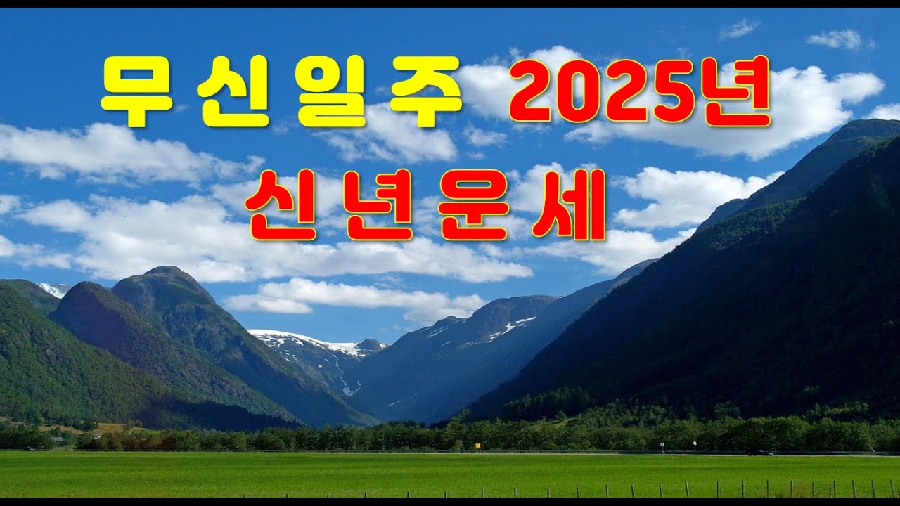 무신일주, 2025년 을사년 신년운세 사주분석