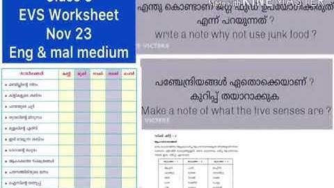 STD 3/ EVS/ VICTERS CLASS WORK SHEET/ NOV 23