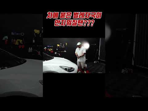 차에 묻은 벌레자국은 어떻게 지울까?