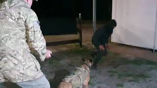 K9SA DEVIL - Muzzle Strikes