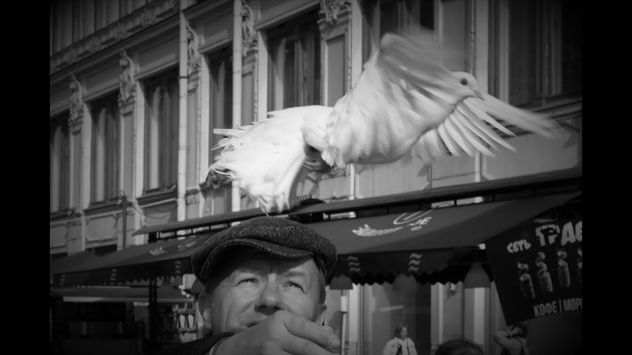 EISBRENNER  -  WISSE