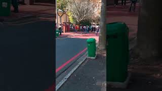 25 May 2019 - Stormers vs Highlanders #newlands #stormers #rugby