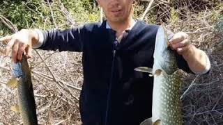 İyi Seyirler Savob