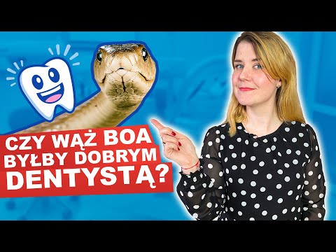 Wideo: Jaka jest definicja społecznej teorii poznawczej?