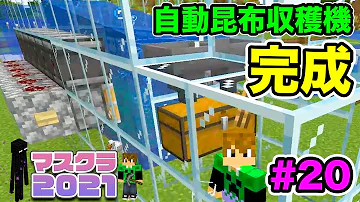 マイクラ 統合版 昆布自動回収機