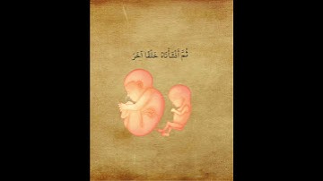 وَلَقَدۡ خَلَقۡنَا ٱلۡإِنسَٰنَ مِن سُلَٰلَةٖ مِّن طِينٖ | ياسر الدوسري - سورة المؤمنون #quran