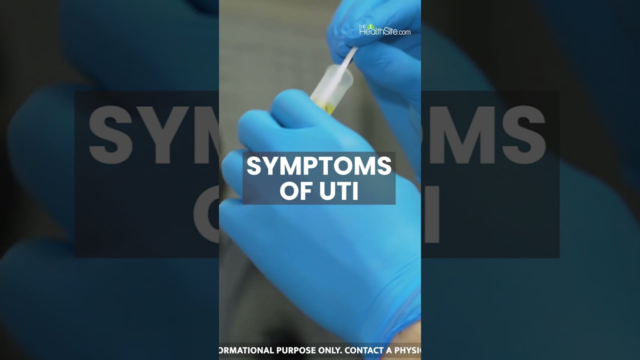 Urinary Tract Infection What You Need To Know About UTI Signs Symptoms
