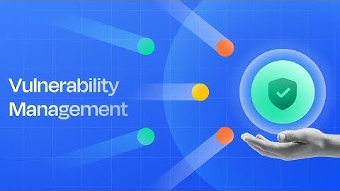 Vulnerability Assessment vs Management: What