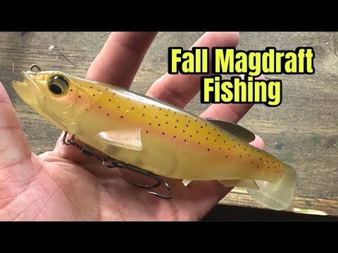 Fall Magdraft Swimbait Tricks Bass Can’t Resist…