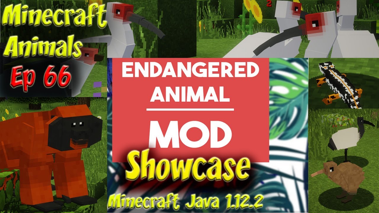 Endangered Animals Mod Animal Showcase 4k 60fps Minecraft Animals Ep66