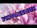 👑Бижутерия с AliExpress№56👑