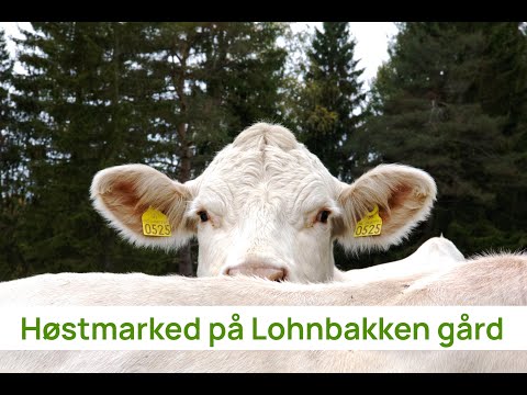 Høstmarked på Lohnbakken gård 2025
