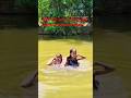 বিয়ান গরম লাগে খুব 🤪🥵#shortvideo #viralvideo #song #reels #trending #dance