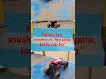 Yo rc on kids terrain #song #toys #cartoon #enjoyment #rccar #punjabisong #entertainment