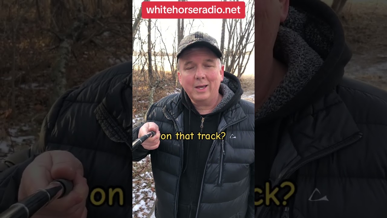 Norwegian Wood Sound?