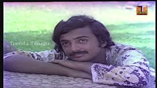 Chuttu Chengavi Cheera Video song Toorupu Velle Railu Movie songs | Mohan | Jyothi | Trendz Telugu