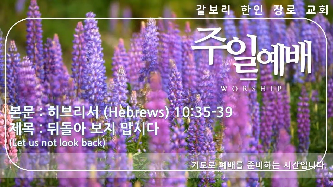 Hebrews 10 35 39 Niv